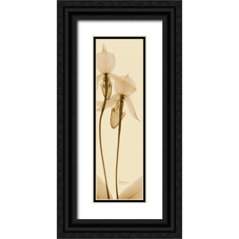 Orchid Brown on Beige 2 Black Ornate Wood Framed Art Print with Double Matting by Koetsier, Albert