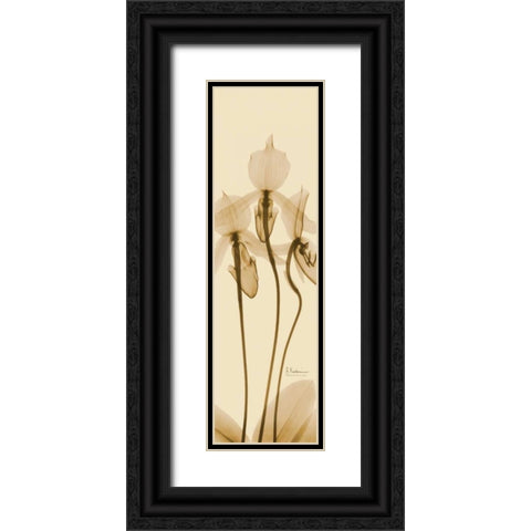 Orchid Brown on Beige Black Ornate Wood Framed Art Print with Double Matting by Koetsier, Albert