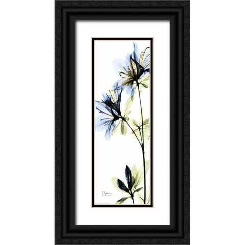 Blue Azalea Black Ornate Wood Framed Art Print with Double Matting by Koetsier, Albert