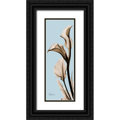 Calla Lily Black Ornate Wood Framed Art Print with Double Matting by Koetsier, Albert