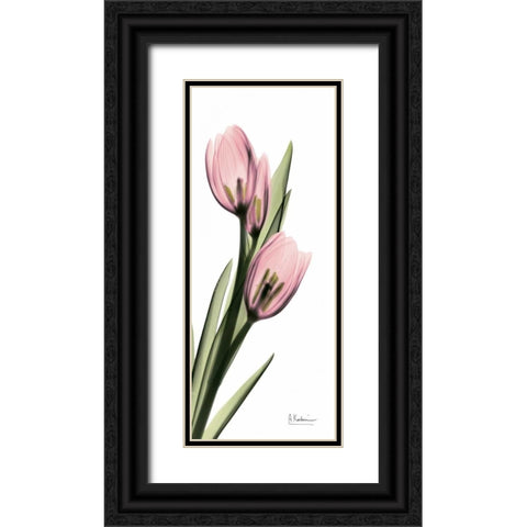 Tulips in Pink Black Ornate Wood Framed Art Print with Double Matting by Koetsier, Albert