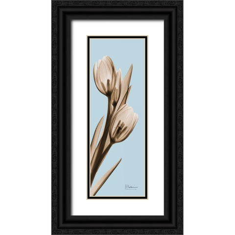 Tulip Black Ornate Wood Framed Art Print with Double Matting by Koetsier, Albert