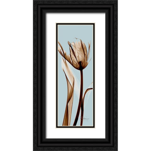 Tulip Brown on Blue Black Ornate Wood Framed Art Print with Double Matting by Koetsier, Albert