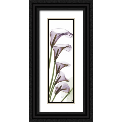 Calla Lilies in Purple Black Ornate Wood Framed Art Print with Double Matting by Koetsier, Albert