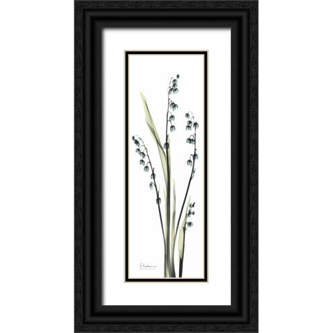 Lily of the Valley in Blue Black Ornate Wood Framed Art Print with Double Matting by Koetsier, Albert