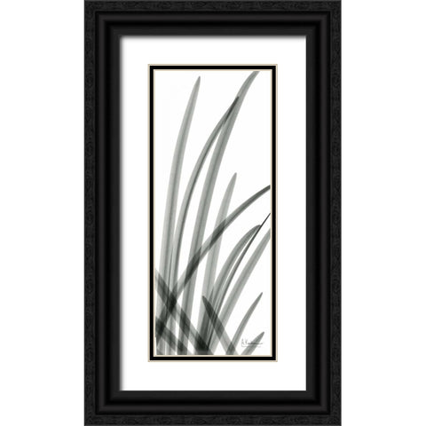 Snow Drop Leaves Black Ornate Wood Framed Art Print with Double Matting by Koetsier, Albert