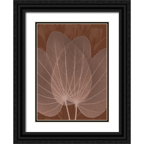 Orchid Tree Fan Black Ornate Wood Framed Art Print with Double Matting by Koetsier, Albert