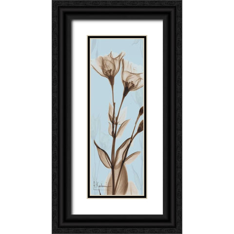 Flower 1 Black Ornate Wood Framed Art Print with Double Matting by Koetsier, Albert