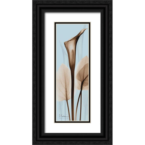 Flower 2 Black Ornate Wood Framed Art Print with Double Matting by Koetsier, Albert