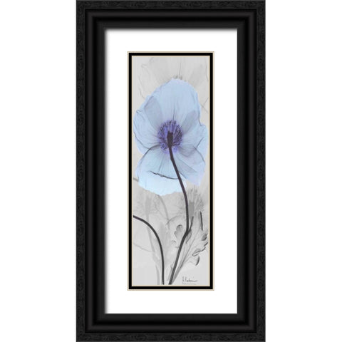 Iceland Poppy Black Ornate Wood Framed Art Print with Double Matting by Koetsier, Albert