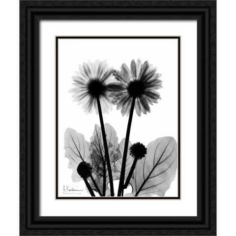 Gerbera BW Black Ornate Wood Framed Art Print with Double Matting by Koetsier, Albert