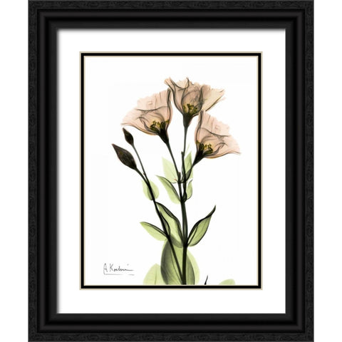 Gentian 3 Black Ornate Wood Framed Art Print with Double Matting by Koetsier, Albert