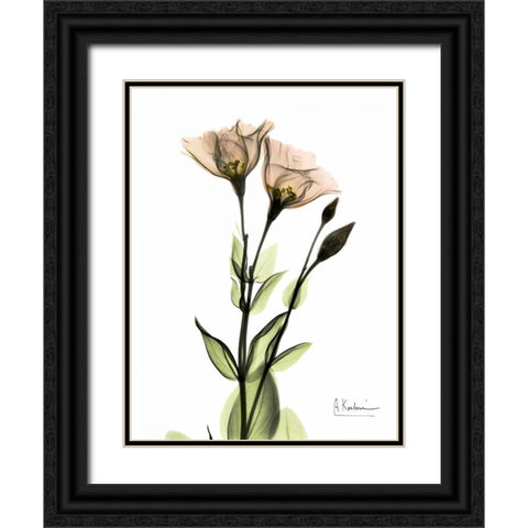 Gentian 2 Black Ornate Wood Framed Art Print with Double Matting by Koetsier, Albert