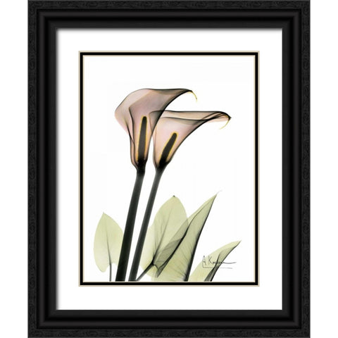 Calla Lily Pair Black Ornate Wood Framed Art Print with Double Matting by Koetsier, Albert