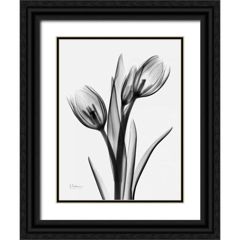 Tulips H37 Black Ornate Wood Framed Art Print with Double Matting by Koetsier, Albert