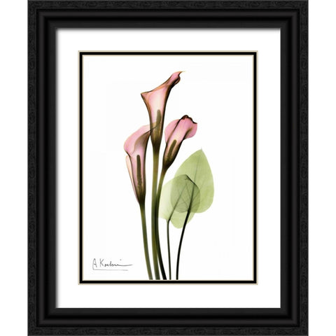 Calla Lily Bouquet in Pink Black Ornate Wood Framed Art Print with Double Matting by Koetsier, Albert