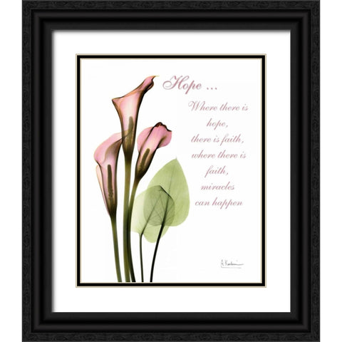 Calla Lily in Pink - Hope Black Ornate Wood Framed Art Print with Double Matting by Koetsier, Albert