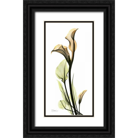 Calla Lily Black Ornate Wood Framed Art Print with Double Matting by Koetsier, Albert