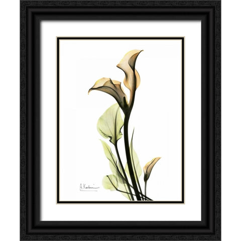 Calla Lily Duo Black Ornate Wood Framed Art Print with Double Matting by Koetsier, Albert