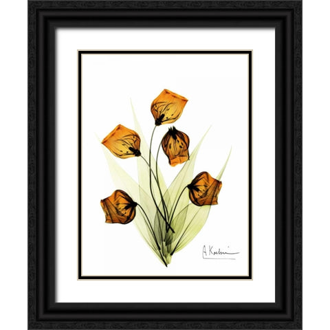 Sandersonia in Gold Black Ornate Wood Framed Art Print with Double Matting by Koetsier, Albert