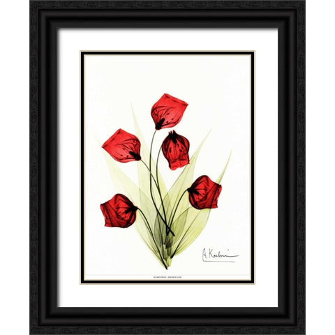 Sandersonia in Red 2 Black Ornate Wood Framed Art Print with Double Matting by Koetsier, Albert