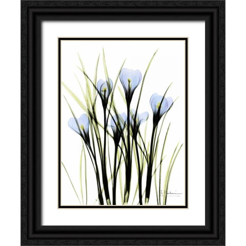 Crocus C38 Black Ornate Wood Framed Art Print with Double Matting by Koetsier, Albert