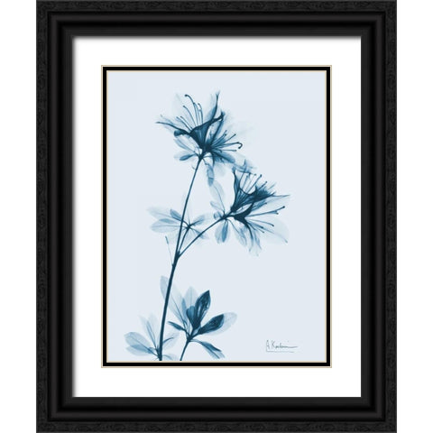 Azalea in Blue Black Ornate Wood Framed Art Print with Double Matting by Koetsier, Albert