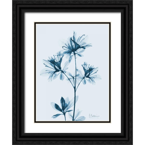 Azalea in Blue 2 Black Ornate Wood Framed Art Print with Double Matting by Koetsier, Albert