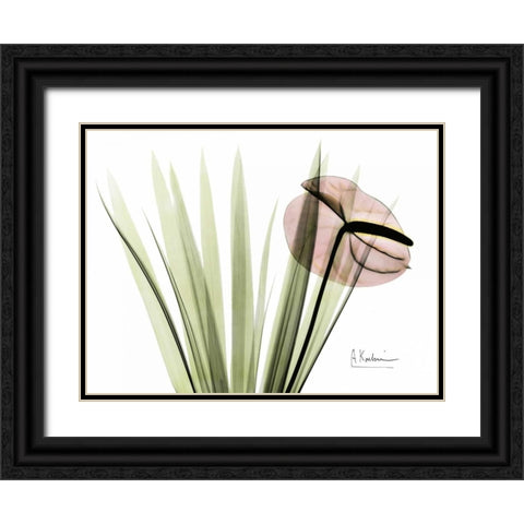 Flamingo Plant in Color Black Ornate Wood Framed Art Print with Double Matting by Koetsier, Albert