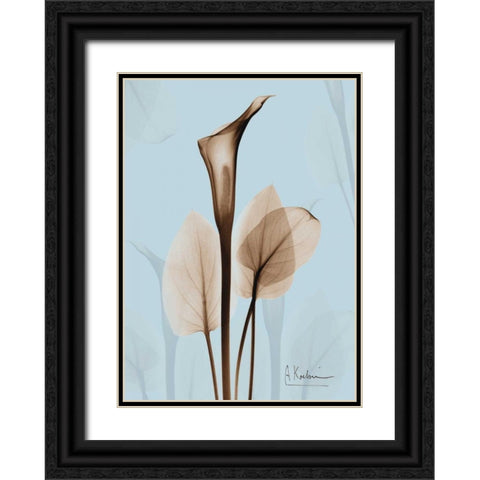 Calla Lily Brown on Blue 2 Black Ornate Wood Framed Art Print with Double Matting by Koetsier, Albert