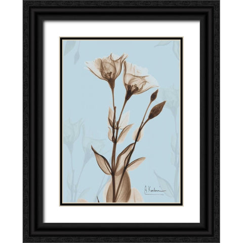 Tulips Brown on Blue Black Ornate Wood Framed Art Print with Double Matting by Koetsier, Albert