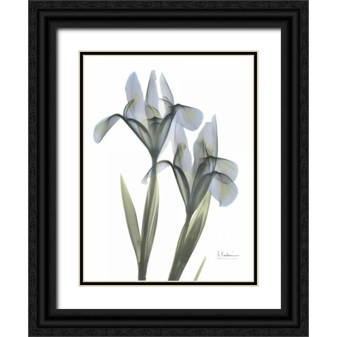 Japanese Iris Black Ornate Wood Framed Art Print with Double Matting by Koetsier, Albert