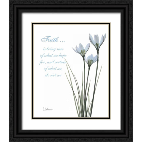 White Rain Lily - Faith Black Ornate Wood Framed Art Print with Double Matting by Koetsier, Albert