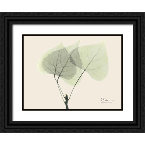 Aspen on Beige Black Ornate Wood Framed Art Print with Double Matting by Koetsier, Albert