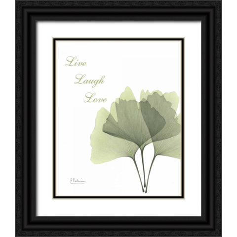 Ginkgo - Live Black Ornate Wood Framed Art Print with Double Matting by Koetsier, Albert