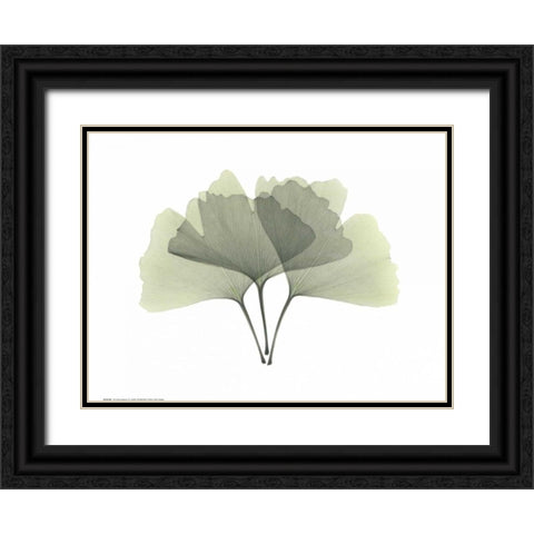 Ginkgo Black Ornate Wood Framed Art Print with Double Matting by Koetsier, Albert