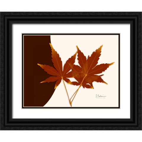 Japanese Maple on Brown and Beige Black Ornate Wood Framed Art Print with Double Matting by Koetsier, Albert