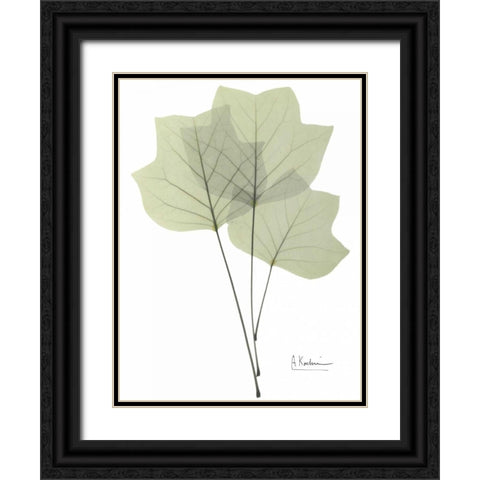 Tulip Tree in Green Black Ornate Wood Framed Art Print with Double Matting by Koetsier, Albert