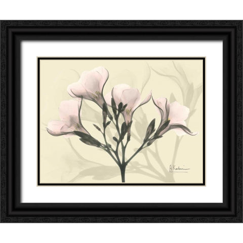 Oleander in Pink on Beige Black Ornate Wood Framed Art Print with Double Matting by Koetsier, Albert