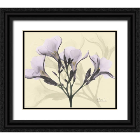 Oleander in Purple on Beige Black Ornate Wood Framed Art Print with Double Matting by Koetsier, Albert