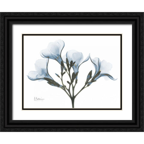 Oleander in Blue Black Ornate Wood Framed Art Print with Double Matting by Koetsier, Albert