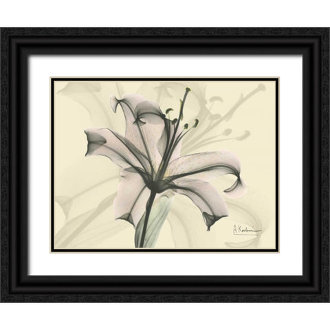 Lily in Pink on Beige Black Ornate Wood Framed Art Print with Double Matting by Koetsier, Albert