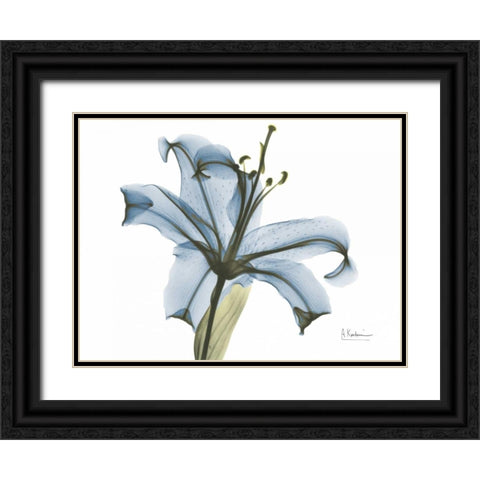 Lily in Pink on Blue Black Ornate Wood Framed Art Print with Double Matting by Koetsier, Albert