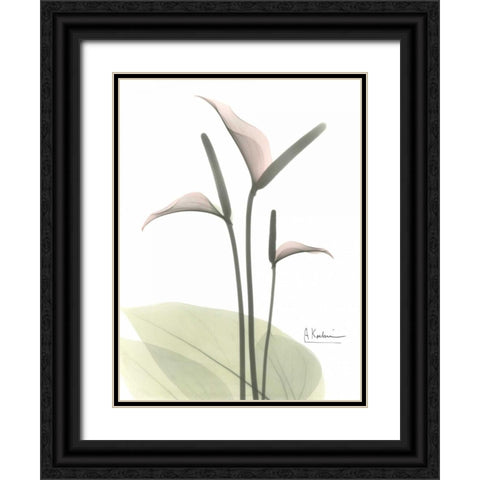 Flamingo in Color Black Ornate Wood Framed Art Print with Double Matting by Koetsier, Albert