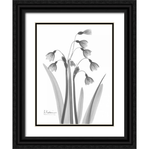 Snow Drop in BandW Black Ornate Wood Framed Art Print with Double Matting by Koetsier, Albert