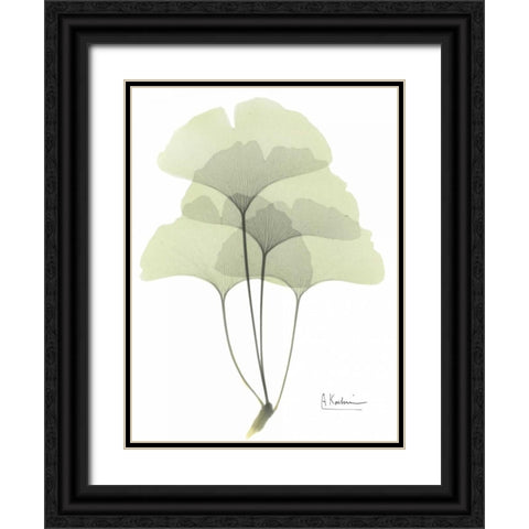 Gingko in Pale Green Black Ornate Wood Framed Art Print with Double Matting by Koetsier, Albert