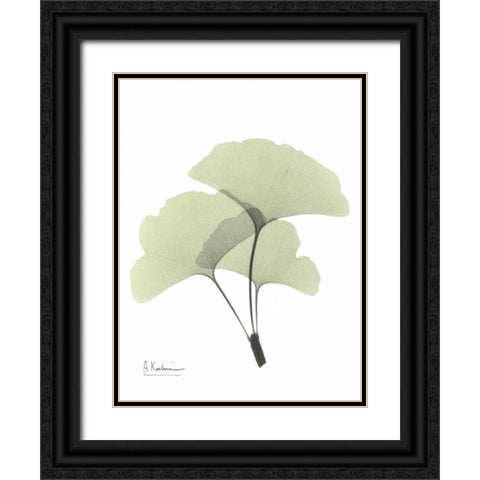 Gingko in Pale Green 2 Black Ornate Wood Framed Art Print with Double Matting by Koetsier, Albert