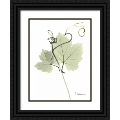 Grape Vine in Pale Green Black Ornate Wood Framed Art Print with Double Matting by Koetsier, Albert