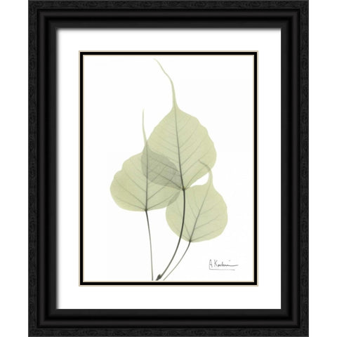 Bo Tree in Pale Green Black Ornate Wood Framed Art Print with Double Matting by Koetsier, Albert