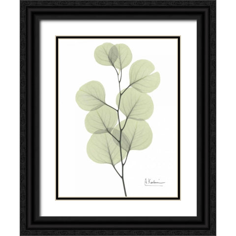 Eucalyptus in Pale Green Black Ornate Wood Framed Art Print with Double Matting by Koetsier, Albert